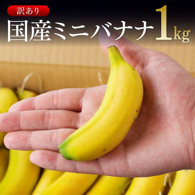 【11/27(木)1:59まで!クーポン利用で10%OFF+ポイント10倍!】訳あり 国産 無農薬 ミニバナナ 1kg ご自宅用や皮ごとスムージーにもオススメ!...