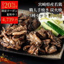 【楽天SS クーポン利用で20%OFF!】宮崎県産若鶏 職人手焼き炭火焼 計800g - 九州産 宮崎県産 炭火焼 ハラミ 鶏小肉 送料無料 川南町