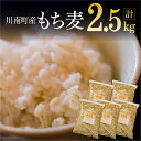 商品情報商品名もち麦 2.5kg（500g×5袋）内容量川南町産もち麦500g×5袋保存方法※直射日光を避け、冷暗所で保存商品説明川南町産のもち麦です。もち麦は食物繊維が豊富で、もちもち、プチプチとした食感が特長です。白米1合に大さじ2～3杯入れ、水も同量増し、炊いてお召し上がりください。麦 ムギ むぎ 穀物 食物繊維 麦ごはん 麦飯 小分け 国産 九州産 宮崎県産販売者橋口 裕二宮崎県川南町ふるさと納税について こちらの商品は、宮崎県川南町のふるさと納税でも販売されています！ふるさと納税をご検討されている方は是非こちらをご利用ください！ 『宮崎県川南町ふるさと納税』商品ページはこちら↓https://item.rakuten.co.jp/f454052-kawaminami/54-01/ 《レビューキャンペーン実施中！》もち麦 2.5kg（500g×5袋） 白米と一緒に炊くだけで手軽に食物繊維を！プチプチした食感で食べやすく健康志向の方にオススメです!宮崎県産 川南町産 もち麦 おうち時間 おうちごはん もち麦は食物繊維が豊富で、もちもち、プチプチとした食感が特長です。 白米1合に大さじ2～3杯入れ、水も同量増し、炊いてお召し上がりください。 8