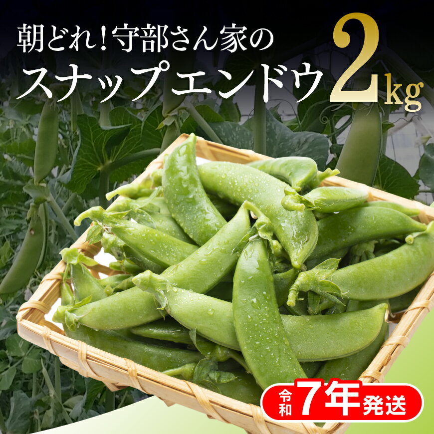 【令和7年発送】朝どれ!守部さん家のスナップエンドウ2.0kg