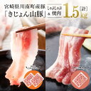 【レビュー投稿でクーポンゲット!】宮崎県産ブランド豚 山豚 ロースしゃぶ・バラ焼肉セット《川南町産「きじょん山豚」》【 肉 豚肉 ロース バラ 宮崎県産 九州産...