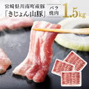 【レビュー投稿でクーポンゲット!】宮崎県産ブランド豚 バラ焼肉用 1.5kg《川南町産「きじょん山豚」》【豚肉 豚 肉 宮崎県産 九州産 バーベキュー BBQ ...
