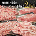【レビュー投稿でクーポンゲット!】宮崎県産 豚肉 バラエティ 4種 セット 2.5kg 《様々な料理にお使いいただけます!》【 肉 豚肉 豚 ロース バラ 切り...