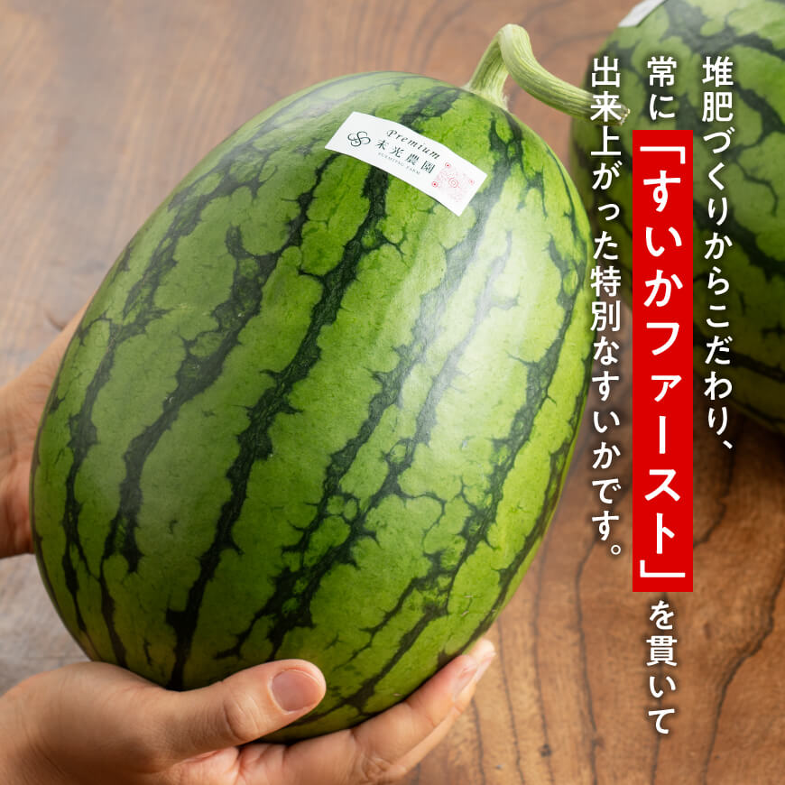 《レビューキャンペーン実施中！》九州産すいか 小玉スイカ「マダーボール」2玉 小玉すいか 小玉西瓜 果物 野菜 国産 宮崎県 宮崎 川南町 川南 産地直送 送料無料 デザート スイーツ 夏の風物詩