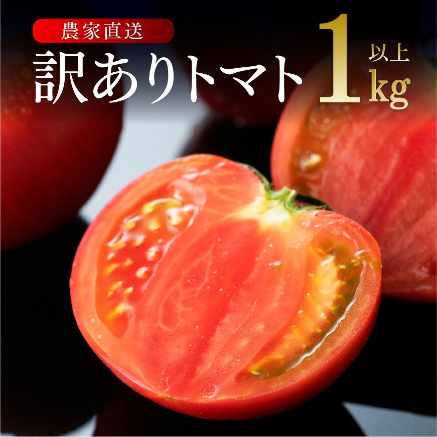 【期間限定 ポイント5倍】【訳あり】宮崎県産とまと 川南町産トマト1kg（9～18個）