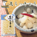 【福井県名産】花らっきょう200g【メール便不可】 - 北前船のカワモト楽天市場店