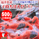 ★送料無料★店長イチオシ♪とろける旨さに絶賛の嵐!福井県名産ぷりっぷり子持ち甘エビ500g(大)【楽ギフ_包装選択】【楽ギフ_のし】【楽ギフ_のし宛書】【楽ギフ_メッセ入力】【ふくい】【えび】【海老】 - 北前船のカワモト楽天市場店