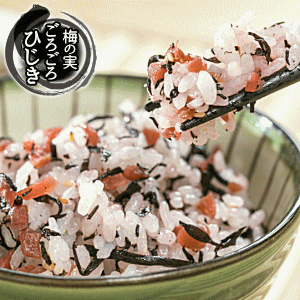 梅の実ごろごろひじきごはん(40g) ひじきふりかけ ふりかけ 梅 かりかり梅 ソフトふりかけ しそひじき ひじきのサムネイル