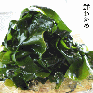 カワモトの鮮わかめ(500g) 三陸産 わかめ 海藻 ワカメ ...