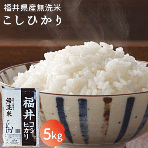 【令和5年産】福井県産こしひかり無洗米5kg おこめ こしひかり コシヒカリ 米 お米 1