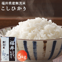 【令和5年産】福井県産こしひかり無洗米5kg おこめ こしひかり コシヒカリ 米 お米