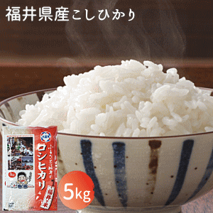 【令和5年産】福井県産コシヒカリ5kg おこめ こしひかり コシヒカリ 米 お米