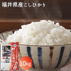 【令和6年産】福井県産コシヒカリ10kg コシヒカリ 白米 10kg 送料無料 こしひかり おこめ お米 米 米10kg 米10キロ お米10キロのサムネイル