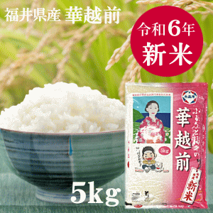 新米入荷！【令和6年産】福井県産　華越前(はなえちぜん)5kg 新米 お米 6年産 おこめ こめ コメのサムネイル