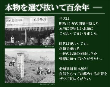 お茶 備長炭火入れ製法で仕上げた静岡茶 80g八十八夜摘み新茶味、コク、香りの三拍子揃った最高の味わい【ネコポス】【送料無料】ビタミンC豊富