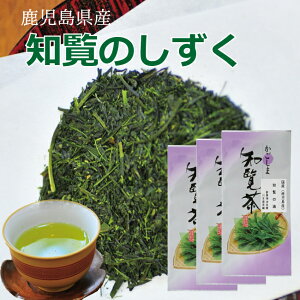 知覧茶 鹿児島産 知覧の滴 100g×3袋 ちらん 深蒸し 送料無料 ネコポス お茶 日本茶 茶葉 国産