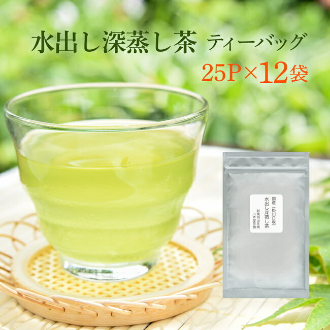 煎茶 掛川茶 深蒸し茶 ティーパック 25P(200g)×1