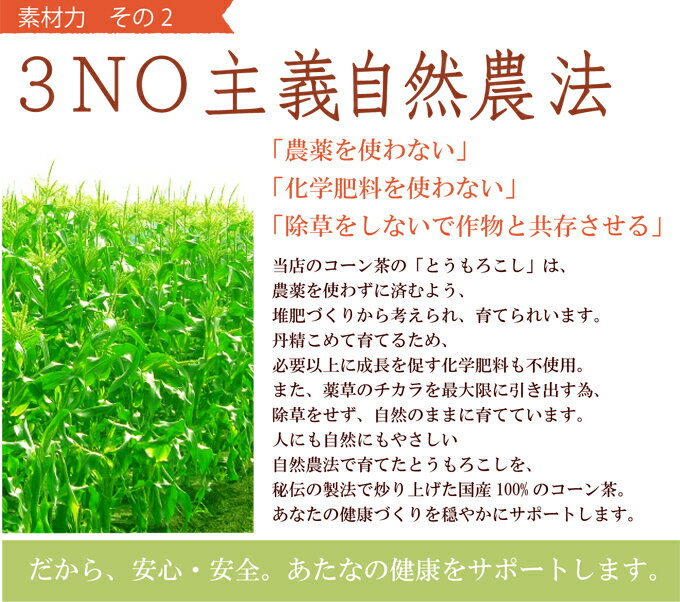 コーン茶 お得な200g入り♪食物繊維と鉄分豊富 国産・無農薬で安心安全熊本産100％【国産 健康茶 コーン茶】 【送料無料】【ネコポス】こーん茶とうもろこし茶