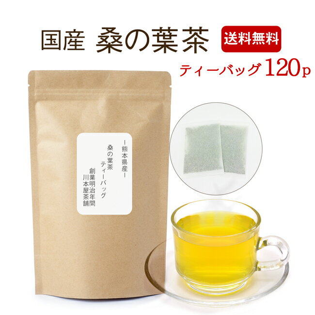 桑の葉茶 国産 ティーパック 3g×20P×6袋 大人気の国