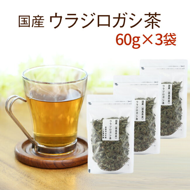 ウラジロガシ茶 純国産 60g×3袋 徳島県産100％で安心・安全☆ウラジロガシ茶