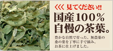 桑の葉茶 70g 【雑誌掲載商品】熊本県産100%で安心・安全☆栄養たっぷりの美味しい桑の葉茶【国産 健康茶】【くわの葉 茶】【無添加・無着色】【ネコポス】