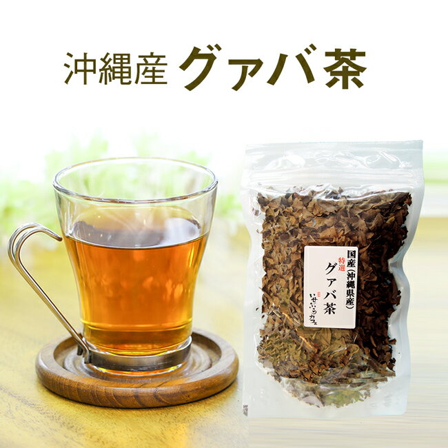 国産 グァバ茶 国産健康茶 お試し 40g待望の国産グァバ茶取り扱い開始しました！沖縄産 グアバ グアバ茶【送料無料 ネコポス】