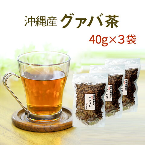 国産 グァバ茶 40g×3セット待望の国産グァバ茶取り扱い開始しました！沖縄産 グアバ グアバ茶【送料無料】