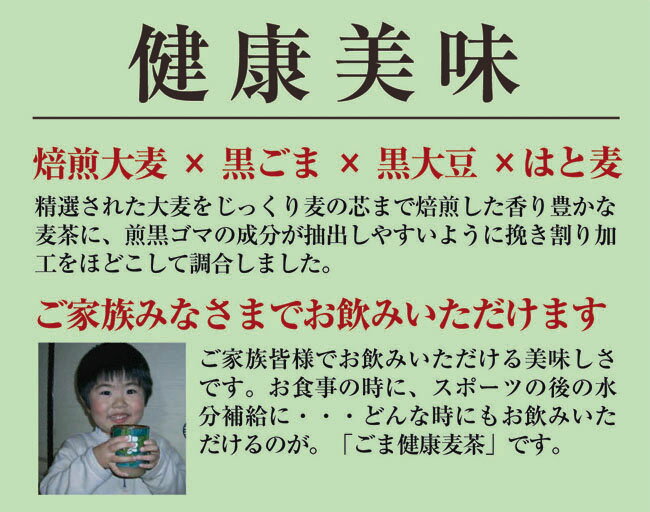 巷で大流行の胡麻麦茶ペットボトル！！日々経済的に飲み続けるためにお得なティーパックタイプが登場☆ゴマ麦茶　500g(12.5g×40袋入） 【通常宅配便】ごま麦茶 麦茶 むぎ茶