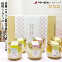 【マラソン限定クーポン配布中19日20時〜】ギフト お中元 プリン 送料無料 【TA-SP】お宝しょうゆプリンセット 6個 セット 川中醤油 公式 醤油 しょう...