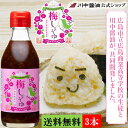 送料無料 3本セット だし醤油 母の日【とろ～り梅しょうゆ 200ml×3本セット 送料無料】芳醇天然かけ醤油 共同開発 お取り寄せ 人気 国産 調味料 うめ 高校生 川中醤油公式 刺身醤油 万能 カリカリ梅 梅酢 国産 はちみつ おにぎり おむすび