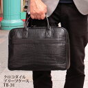 クロコダイル メンズ レザーバッグ 本革 エキゾチックレザー tb31