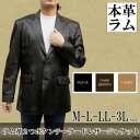 メンズ レザージャケット 2つボタン ラム革 テーラージャケット メンズレザージャケット ラージサイズ ビッグサイズ 革ジャケット 皮ジャケット 大きいサイズ 8561