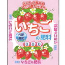 セントラルグリーン いちごの肥料8-8-8 10kg イチゴ 芳香早生 女峰