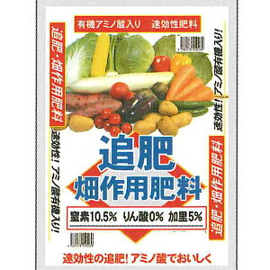 秋肥｜春夏の実りにお礼肥を！秋の施肥におすすめの肥料を教えてください。