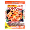 花ごころ クンシランの土 12L