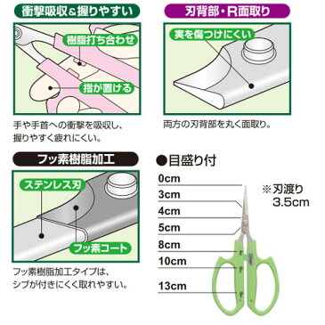 サボテン ぶどう鋏 B-6B 大ハンドル 直刃 先丸 目盛付 ステンレス ハサミ 葡萄 摘粒 房作り 軽量【沖縄・離島不可】