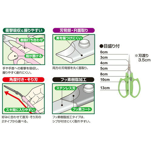 サボテン ぶどう鋏 そり刃 ステンレス 目盛付 B-1MFP ハサミ 葡萄 摘粒 房作り 軽...