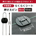 第一ビニール らくらくシート押さえピン 20cm 10本組