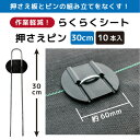 第一ビニール らくらくシート押さえピン 30cm 10本組