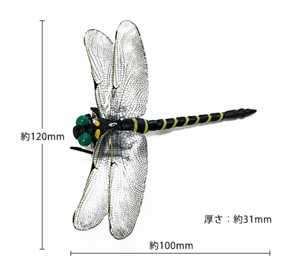 商品説明 【品　名】 ミキロコス 天敵で虫除け オニヤンマ 【サイズ】 約）幅120　×　長さ100mm 【材　質】 安全ピン：ニッケルメッキ ひも：ナイロン はね：PVC（ポリ塩化ビニル） 本体：PVC（ポリ塩化ビニル） 【用　途】 ●渓流釣り ●キャンプ ●ゴルフ ●畑仕事 ●庭仕事 ●山登り 害虫がいるいろいろなところでご使用ください。 【使用方法】 ●ストラップで吊り下げる ●安全ピンで帽子などに取り付ける ●クリップでポケットなどに取り付ける 【備　考】 ※商品仕様は、改良等により予告なく変更することがありますので、あらかじめご了承下さい。 ※沖縄・離島は別途送料がかかってしまいますが、システム上追加送料を頂けませんので、大変誠に申し訳ございませんが、キャンセルさせていただきます。