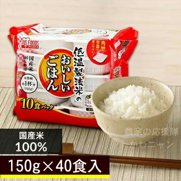アイリス　低温製法米　おいしいごはん　150g×10パック×4袋