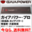 ǳ奰åѥץ(̾Υѥ̼֡緿) GAIA POWER PRO GPP380פ򸫤