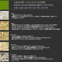 新米29年産北海道産ゆめぴりか玄米30kg(5kg×6袋セット)<玄米/白米/分づき米>【送料無料】【北海道米送料込み米お米真空パック選択可】