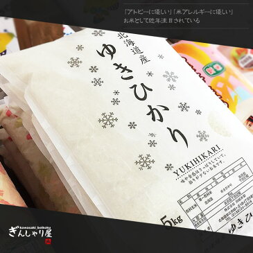 新米 30年産 北海道産 ゆきひかり 5kg ＜白米＞ 【送料無料】【北海道米 送料込み 米 お米 真空パック選択可】