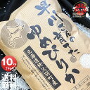令和6年産 早川さんの育てた 北海道雨竜郡秩父別産 ゆめぴりか 10kg (5kg×2袋セット)<白米> 【送料無料】【北海道米 送料込み 米 お米 真空パック...