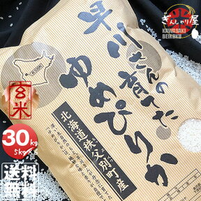 令和5年産 早川さんの育てた 北海道雨竜郡秩父別産 ゆめぴりか 玄米 30kg (5kg×6袋セット) ＜玄米／白米／分づき米＞【送料無料】【北海道米 送料込み 米 お米 真空パック選択可】