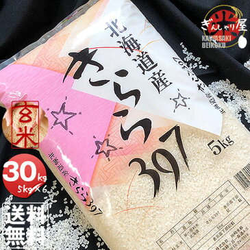 令和元年産 北海道産 きらら397 玄米 30kg (5kg×6袋セット)＜玄米／白米／分づき米＞ 【送料無料】【北海道米 送料込み 米 お米 真空パック選択可】