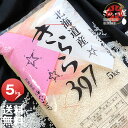 令和5年産 北海道産 きらら397 5kg ＜白米＞ 【送料無料】【北海道米 送料込み 米 お米 真空パック選択可】