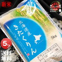 新米 令和3年産 北海道産 きたくりん 5kg ＜白米＞ 【送料無料】【北海道米 送料込み 米 お米 真空パック選択可】