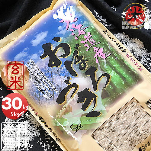 令和元年産 北海道産 おぼろづき 玄米 30kg (5kg×6袋セット)＜玄米／白米／分づき米＞【送料無料】【北海道米 送料込み 米 お米 真空パック選択可】